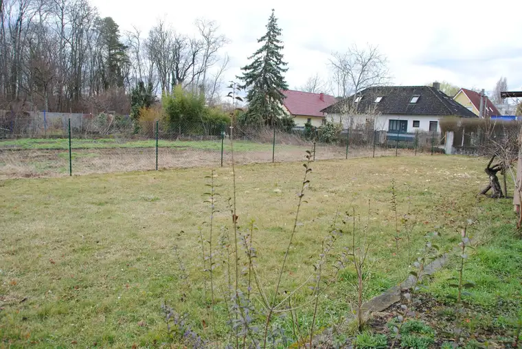 Baugrundstück 946m² in Gramatneusiedl sofort Verfügbar