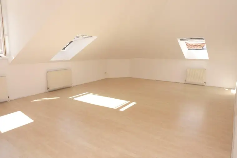 Überraschend großzügig: 62 m² Garconniere mit separater Küche - GLEICH BEI U3 KARDINAL-NAGL-PLATZ