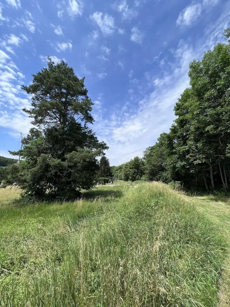 Bieterverfahren- Herrliches Grundstück im Wienerwald