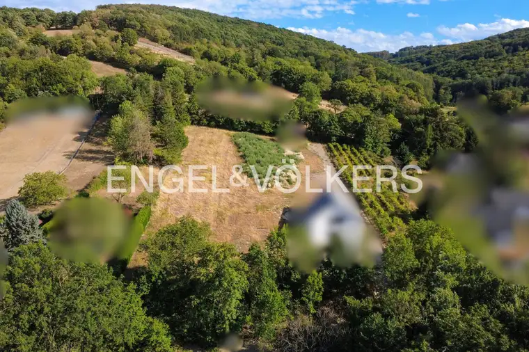 Exklusives Baugrundstück mit Naturidylle in begehrter Ruhelage von Königstetten