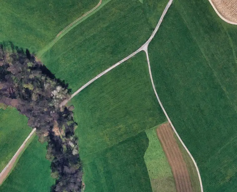 1,8 Hektar Grünland in Seekirchen Marschalln für landwirtschaftliche Zwecke und zur Kapitalanlage