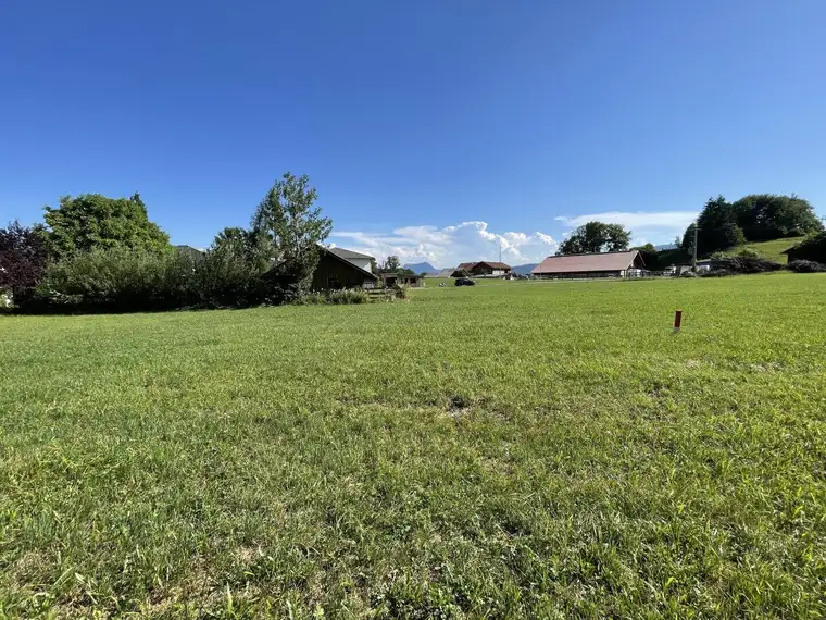 Traumhaftes Grundstück in Zell am Moos – 1120m² für Ihr Bauprojekt!