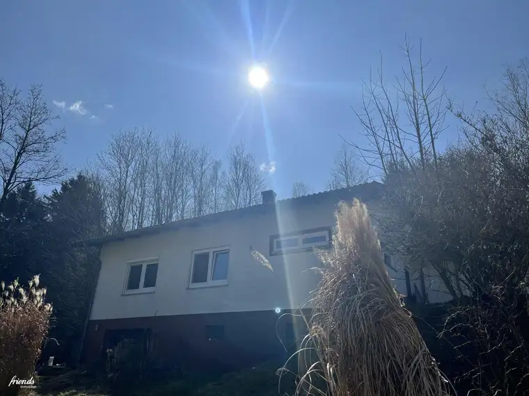 Einfamilienhaus im Grünen