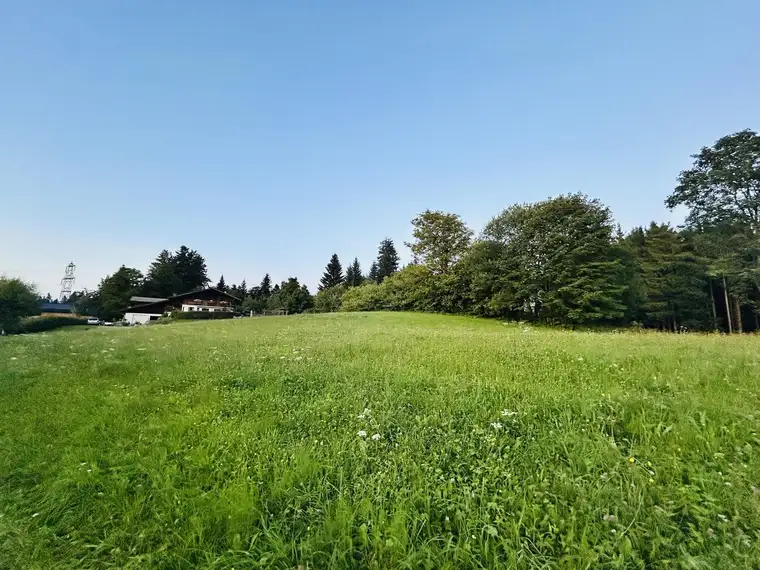 Seltene Gelegenheit - Sonniges Liebhaber-Grundstück mit traumhafter Aussicht am Pfänder / Bodensee