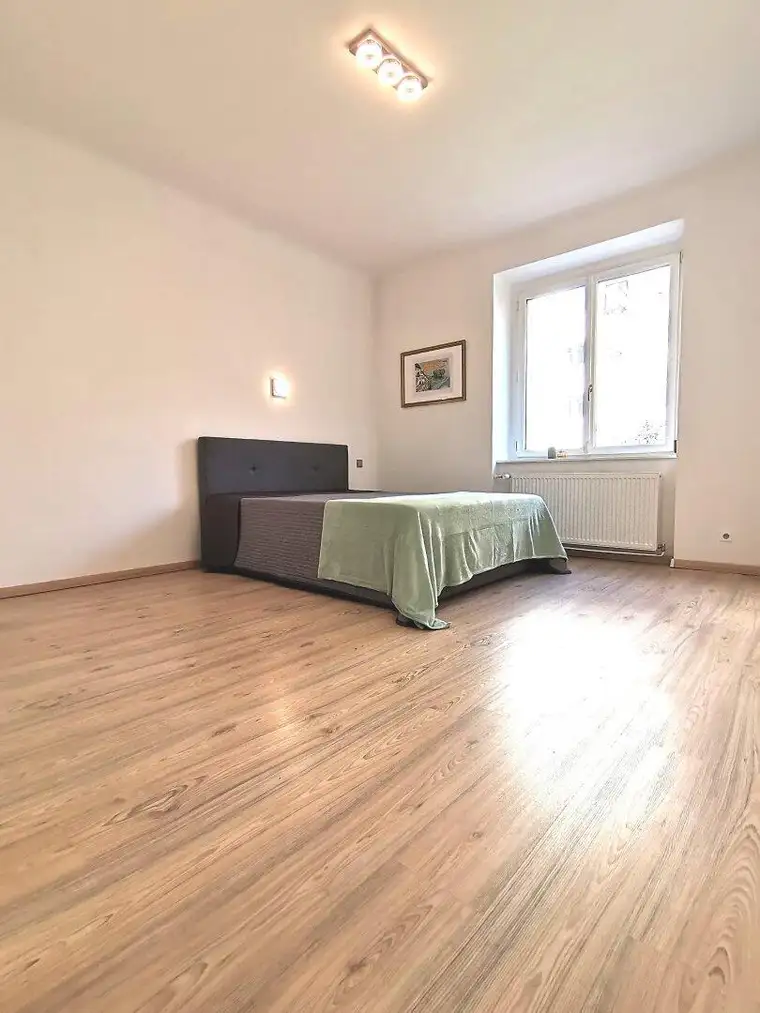 Single-, Pärchen- oder Anlage-Wohnung + Ruhe, Grünblick und Gartennutzung neben Palais Schönburg!
