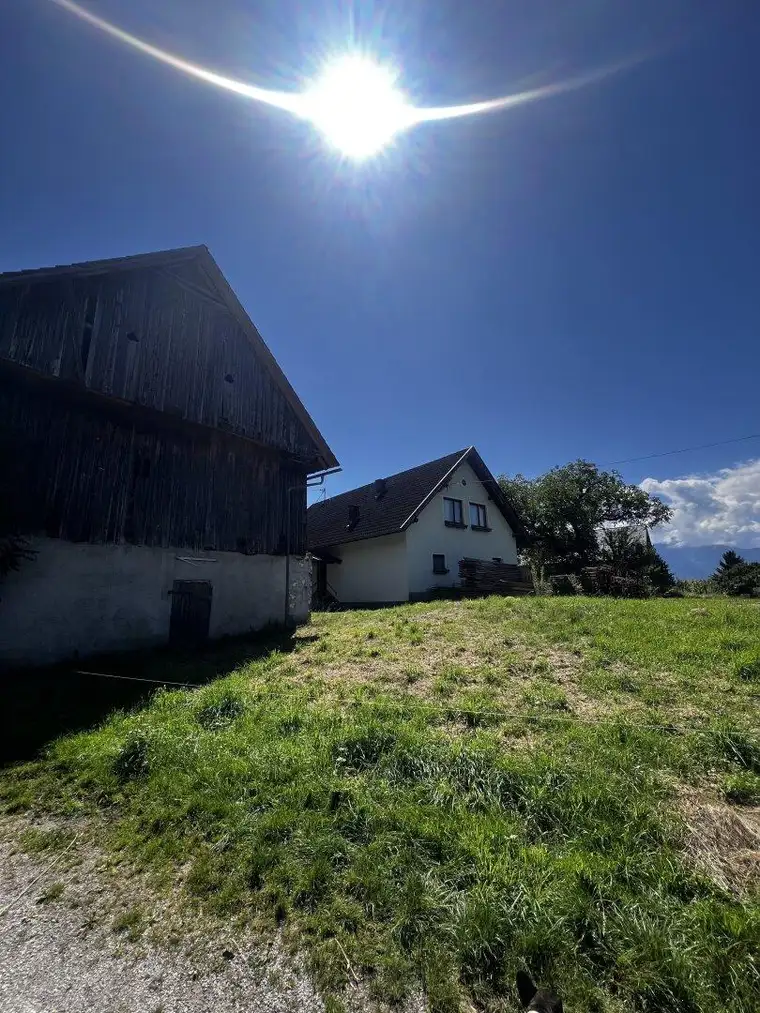 Katharina Ertl, Immobilien Ertl