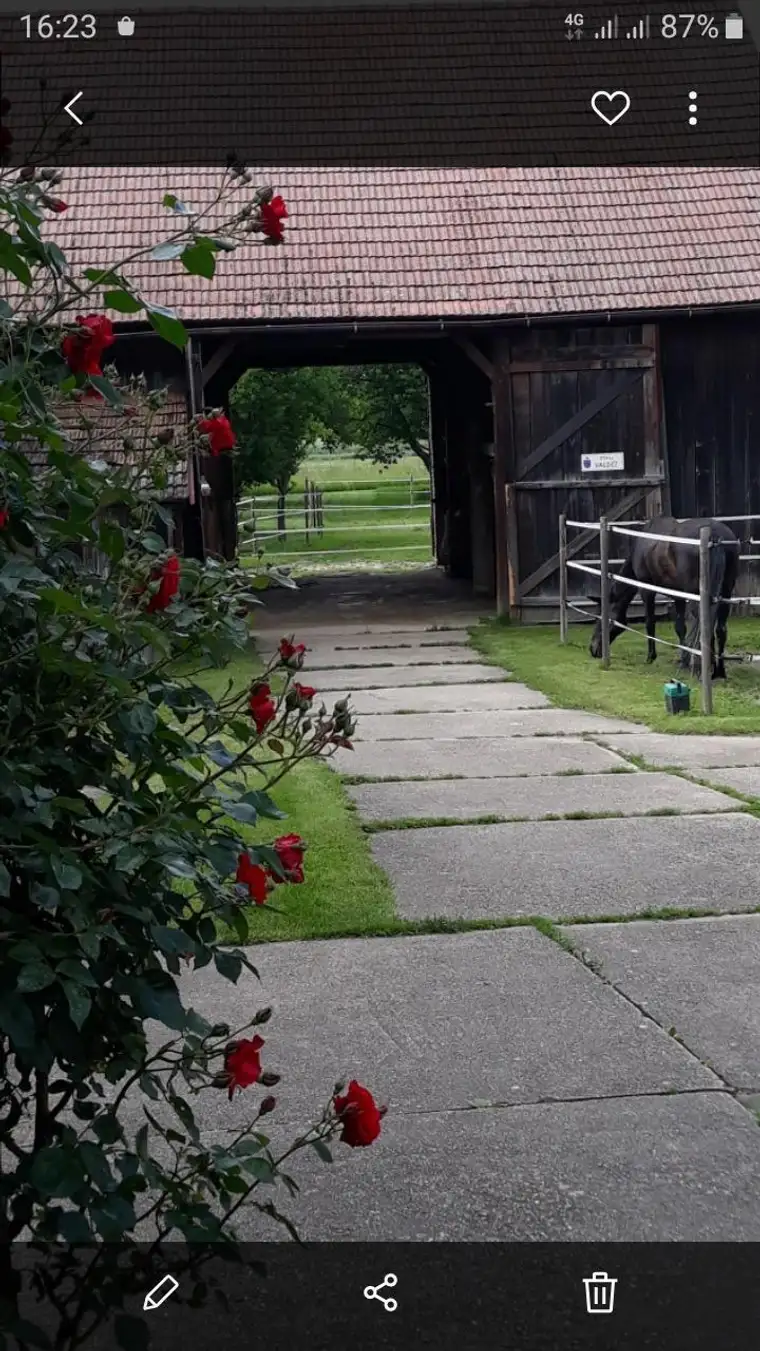Pferdeparadies mit Bauernhaus