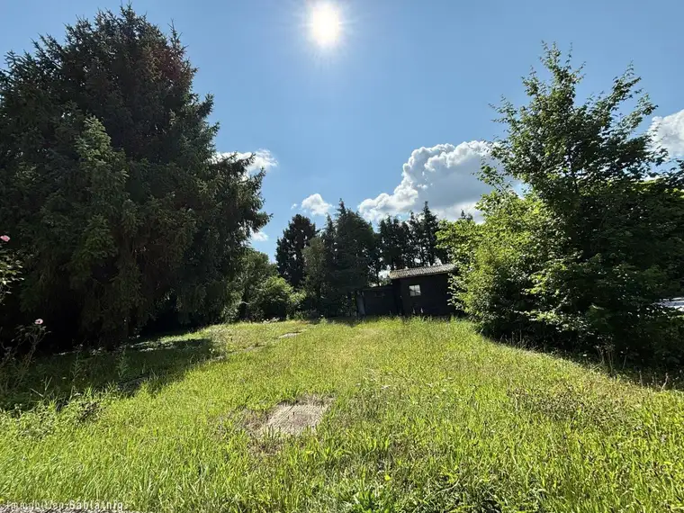 BAUGRUNDSTÜCK MIT ALTBESTAND AM WOLFERSBERG! Ruhige Lage im Grünen mit perfekter Anbindung!