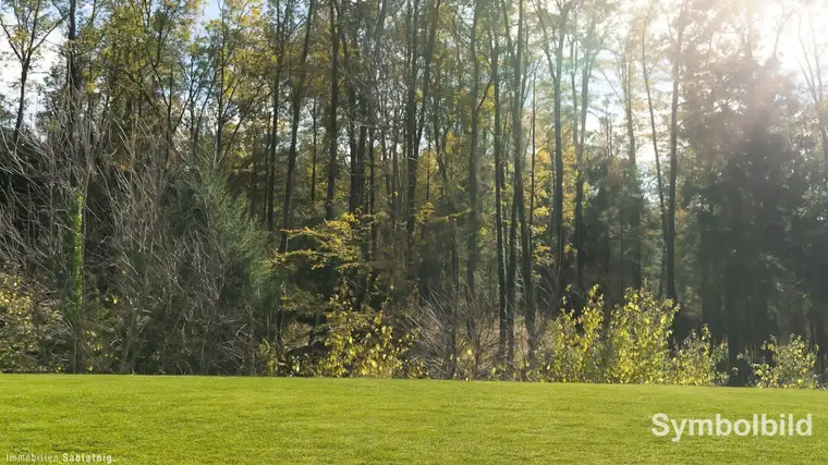 SONNIGER BAUGRUND! Sackgassenlage am Waldrand!