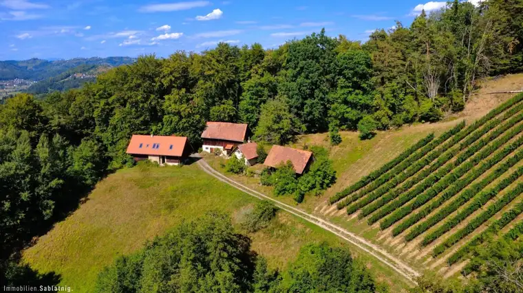 Gertrud Sablatnig MBA, Immobilien Sablatnig