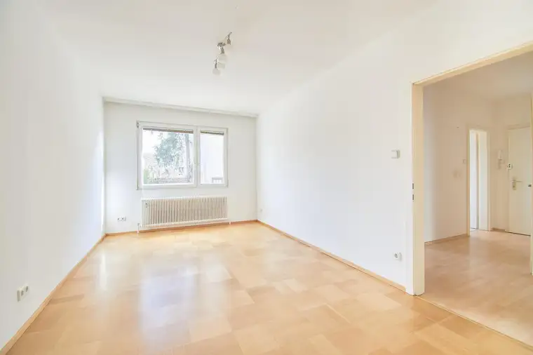 grün-weiße Oase - guter Zustand und perfekte Aufteilung - 2 Zimmer