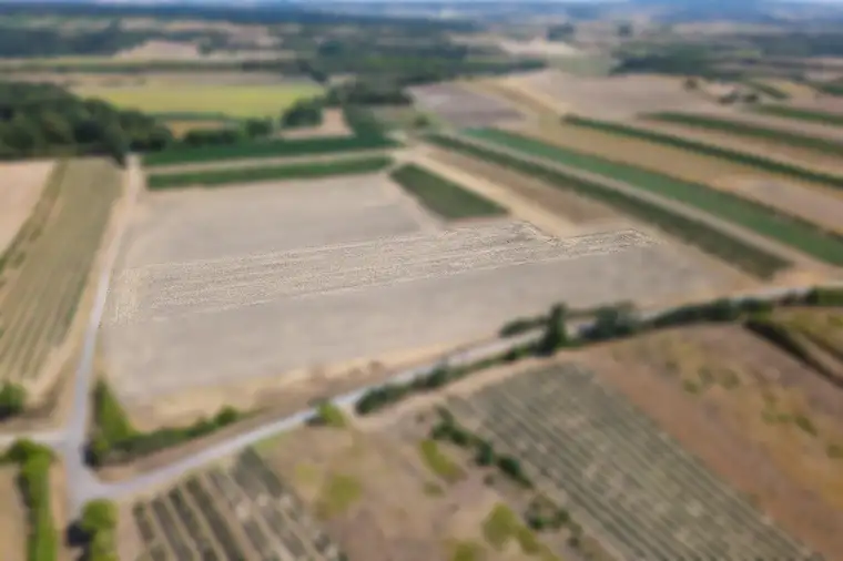 Landwirtschaftliches Grundstück in der KG Bockfließ - 4277m2
