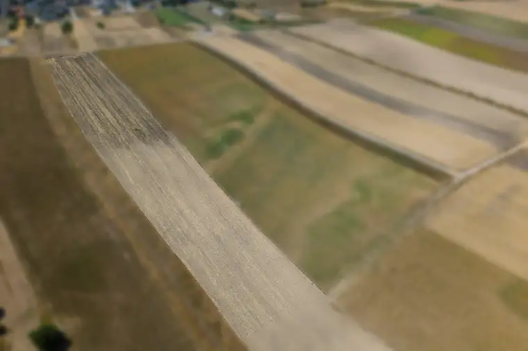 Landwirtschaftliches Grundstück in der KG Auersthal - 4169m2