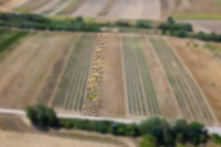 Landwirtschaftliches Grundstück in der KG Groß-Schweinbarth - 1838m2