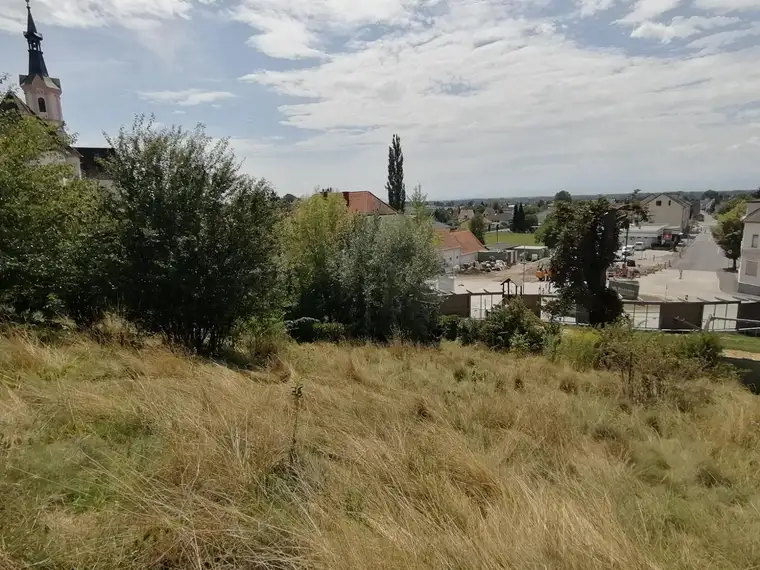 PROVISIONSFREI! Wunderschönes, sonniges Baugrundstück im Zentrum von 8071 Hausmannstätten