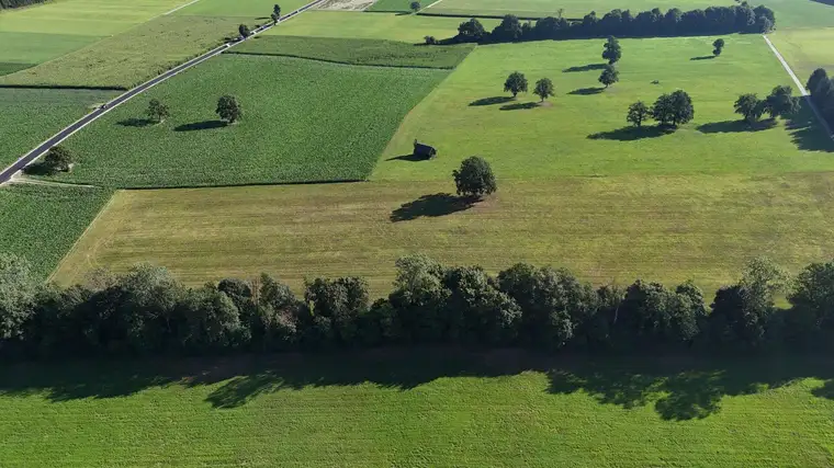 Landwirtschaftliche Flächen in Langkampfen – über 5 Hektar in attraktiver Lage