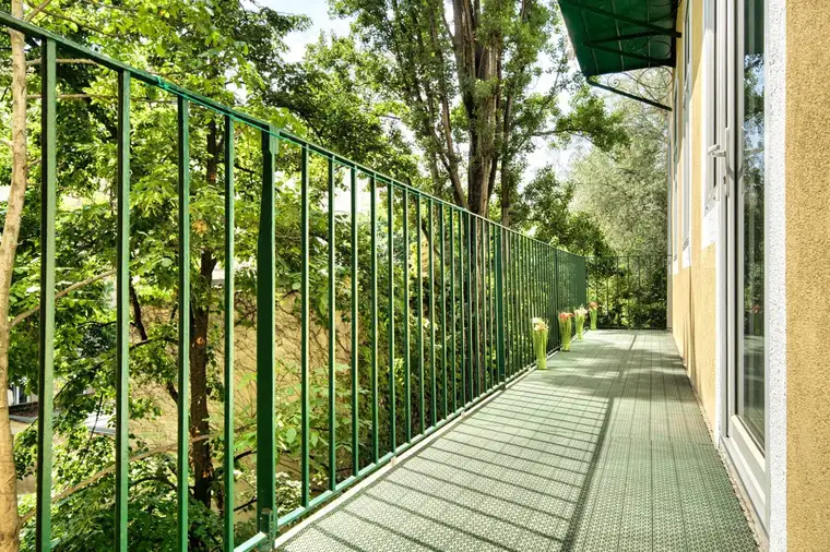 Baumhauslodge im Dschungel - Lässige, sonnige 2 Zimmer Altbauwohnung mit großem Balkon, Grünblick und außergewöhnlichem Flair