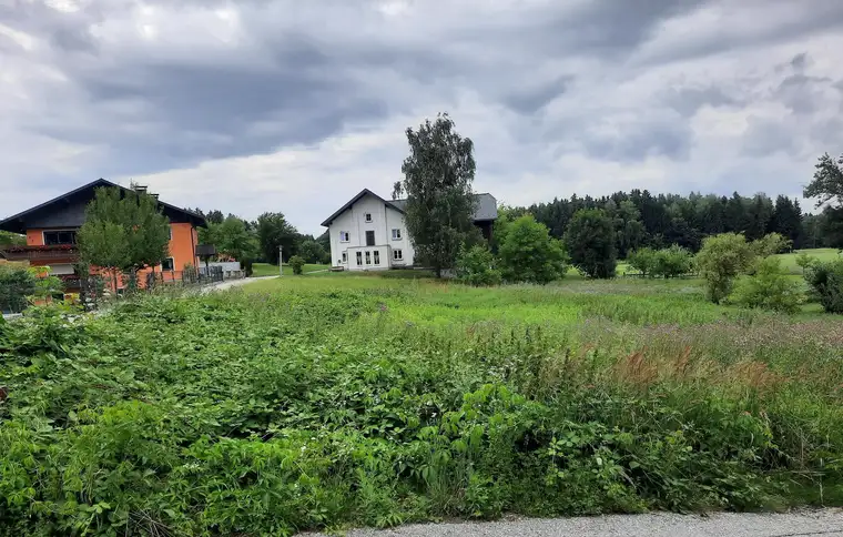 Sonniges Baugrundstück: 807m2 Bauland mit 1065m2 angrenzender "Entwicklungsfläche für Wohnen" (dzt. Grünland)