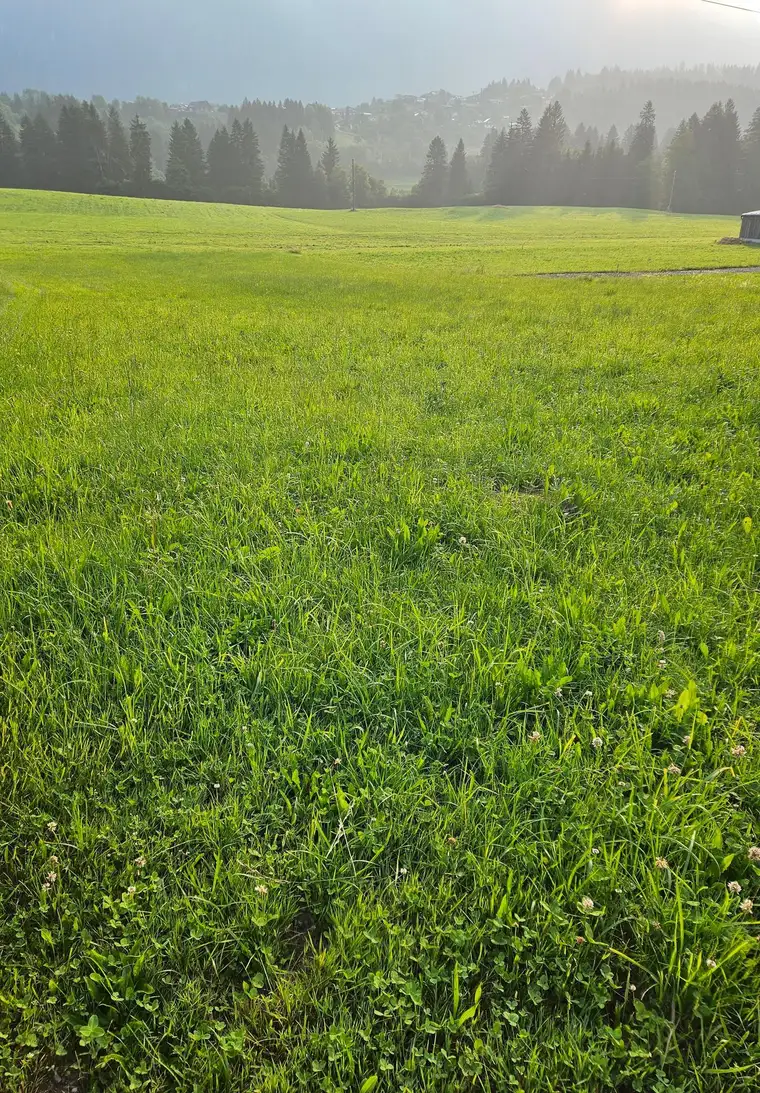 Traumhaftes Grundstück nahe Hermagor in sonniger Lage