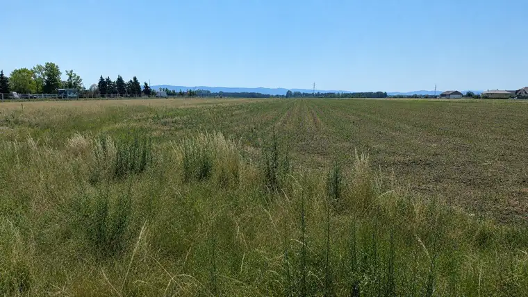 Baugrund in Bad Fischau-Brunn mit herrlichem Blick in die Ferne!