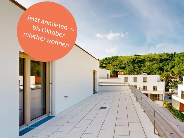 Nadja Viktoria Niemiec, PRISMA Zentrum für Standort- und Stadtentwicklung GmbH