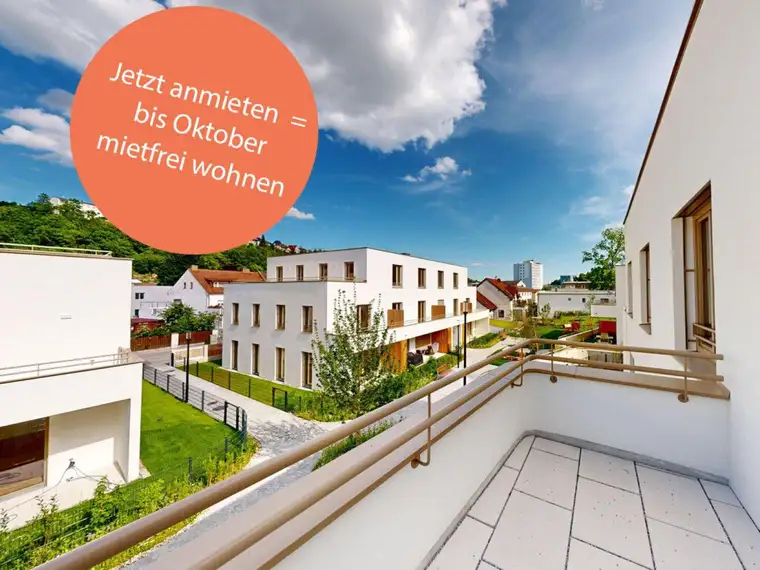 Nadja Viktoria Niemiec, PRISMA Zentrum für Standort- und Stadtentwicklung GmbH