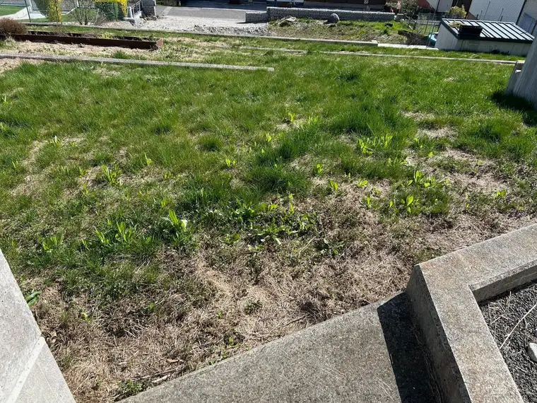 aufgeschlossenes Baugrundstück