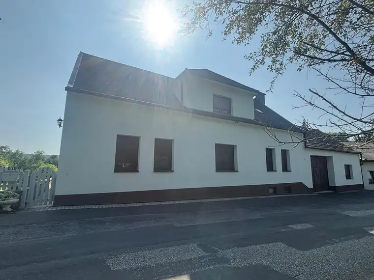 Großes Einfamilienhaus 