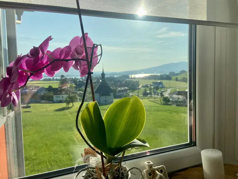 Sonnige 3-Zimmer Wohnung am Mondsee mit See- und Bergblick - PROVISIONSFREI