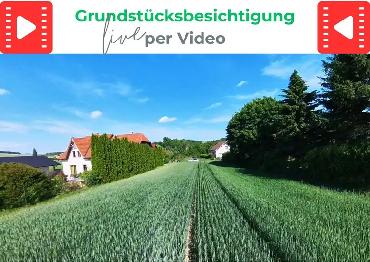 Sonniges Baugrundstück in Niederkreuzstetten – 996 m² für Ihr Eigenheim!