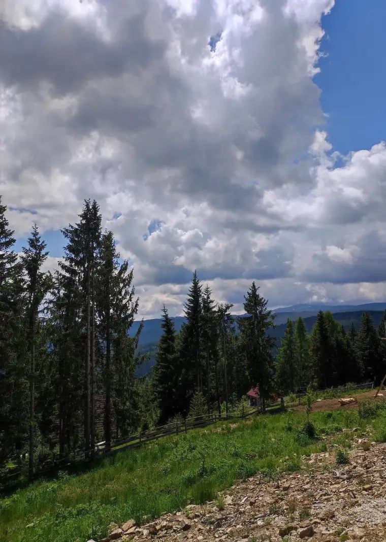Maklerprovision übernimmt der Abgeber "Über den Wolken kann die Freiheit nur grenzenlos sein" Alpen-Baugrundstück, voll aufgeschlossen auf 1.400 Metern Seehöhe!