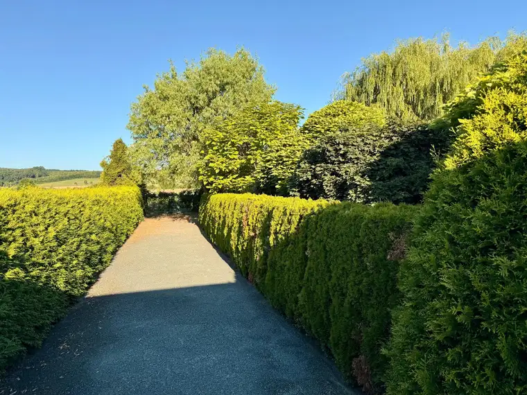 Barrierefreier Bungalow mit grossem, eingewachsenen Parkgrundstück im Südburgenland