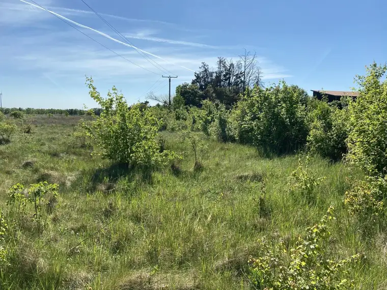 Baugrund in Strasshof an der Nordbahn
