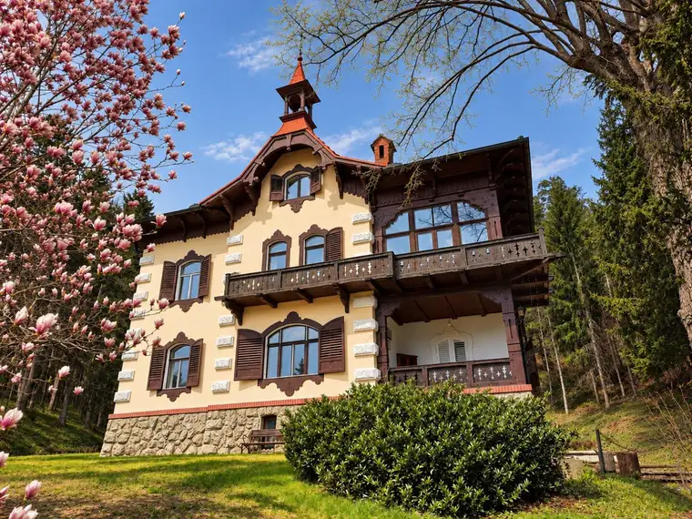 Alissa Zwickelstorfer, Sangreal Living & Estates GmbH