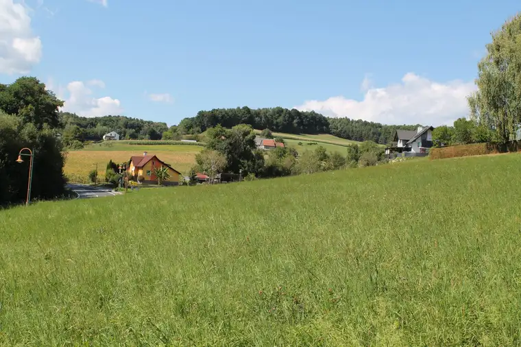 Baugrund (Größe 3711 m2) in Pöllau bei Gleisdorf zu verkaufen