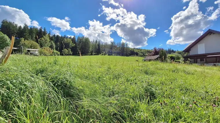 Ihr Platz im Grünen - Sonniges Grundstück in St. Konrad zu verkaufen