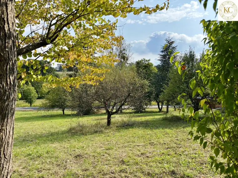 Sonniger Bauplatz in Bad Gleichenberg – perfekt für Ihr Traumhaus