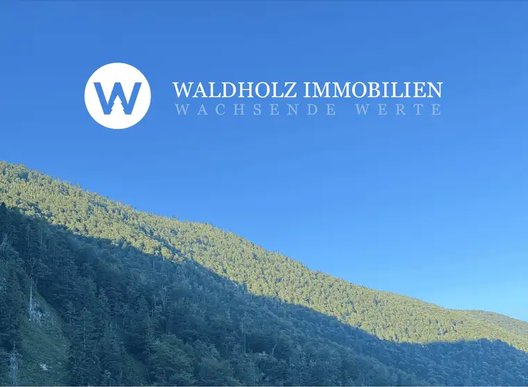 Leonard Rauch, Waldholz Immobilien GmbH