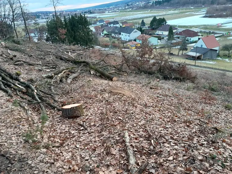 Großer Baugrund mit angrenzendem Wald zu verkaufen