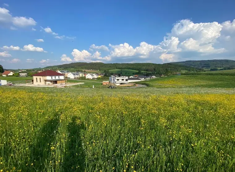 Großzügiges Baugrundstück 