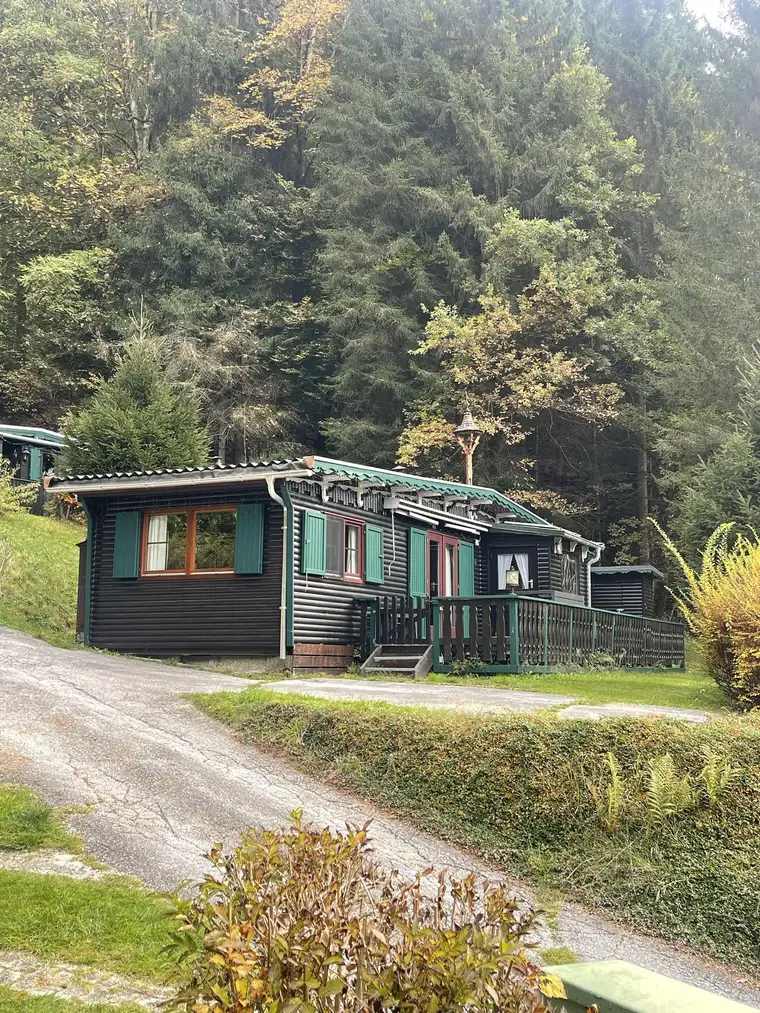 Gut gepflegtes Alpen-Chalet mit 3 Schlafzimmern – Sonnige Südhanglage am Campingplatz Schlossberg