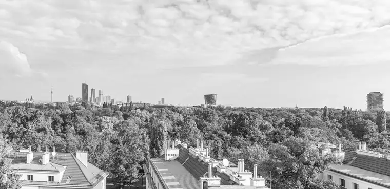Einzigartige DachgeschossWohnung mit Fernblick