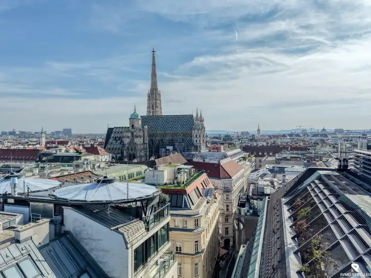 Living the Vienna Dream – super exklusives Penthouse mit Whirlpool &amp; Stephansdom-Blick