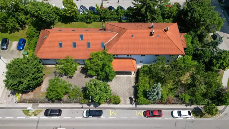 ZU VIEL GIBT'S NICHT - Haus in Wiener Neustadt mit 10 Zimmer auf 460m2 und 1755m2 Grund