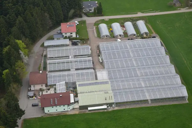 Gärtnerei mit 2 Wohn+ Geschäftsimmoblien 