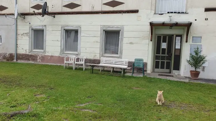 Wohnung mit Garten in St. Pölten