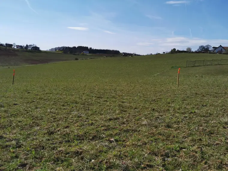 Baugrundstück in Punitz zum Kauf