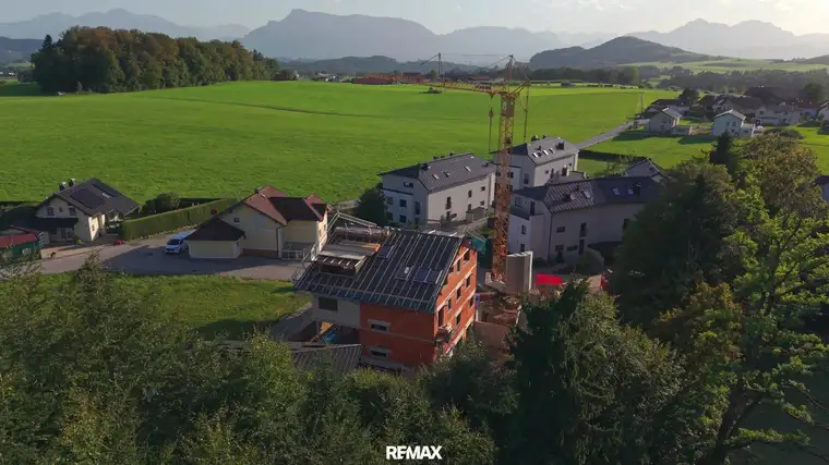 Franz Stefan Hofmann, MBA, Remax Immo - Base