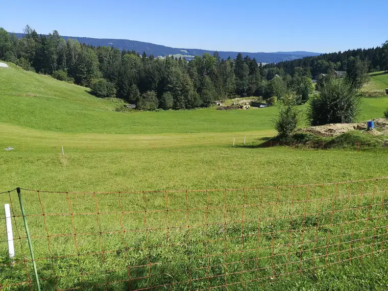 Naturnahes Baugrundstück in ruhiger Lage