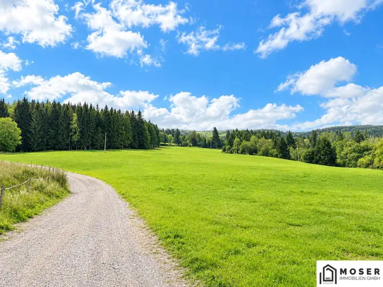 +++ Mühlen bei Neumarkt: ca. 8 ha große landwirtschaftliche Liegenschaft zu verkaufen+++